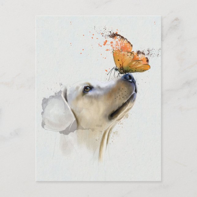 Golden Retriever With a Butterfly on Its Nose Postcard (Front)