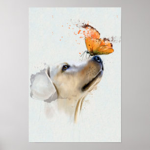Golden Retriever With a Butterfly on Its Nose Poster