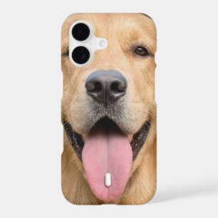 Golden Retriever with a Pill