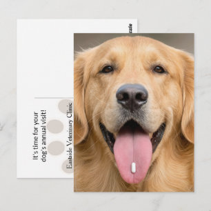 Golden Retriever with a Pill Postcard