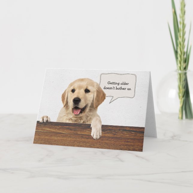 golden retriever with anniversary card (Front)