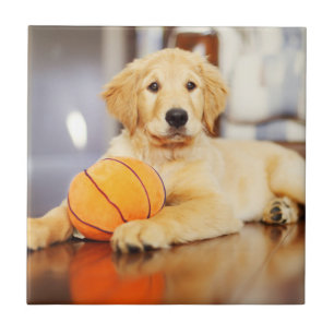 Golden Retriever With Basketball Toy Ceramic Tile