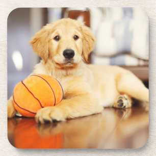 Golden Retriever With Basketball Toy Coaster