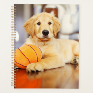 Golden Retriever With Basketball Toy Planner