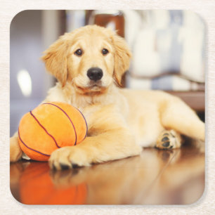 Golden Retriever With Basketball Toy Square Paper Coaster