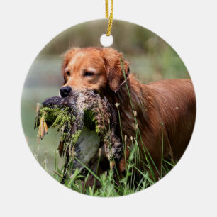 Golden Retriever with duck Ornament