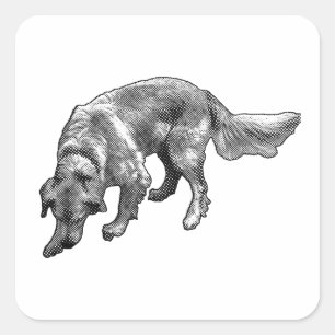 Golden Retriever with Fun Expression Square Sticker