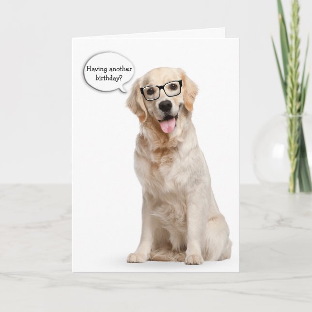 Golden Retriever with glasses birthday Card (Front)