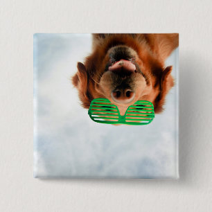 Golden Retriever With Green Sunglasses 15 Cm Square Badge