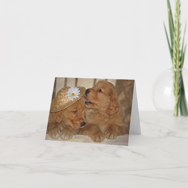 Golden Retriever with hat Card (Front)