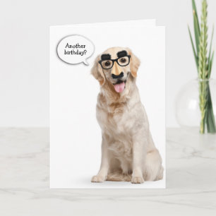 Golden Retriever with mask birthday Card