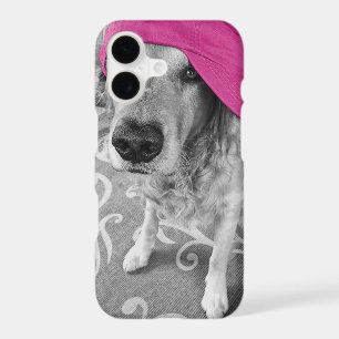 Golden Retriever with pink cap