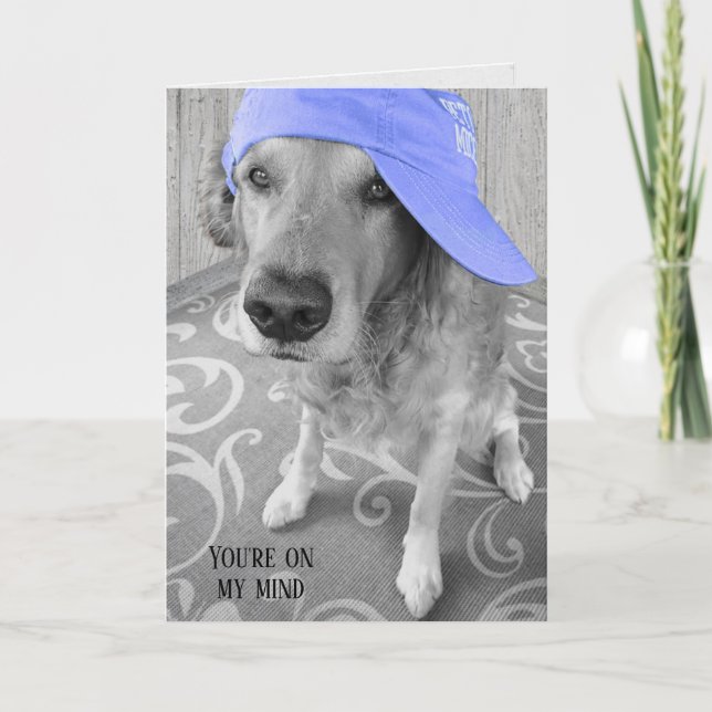 Golden Retriever with purple cap Card (Front)