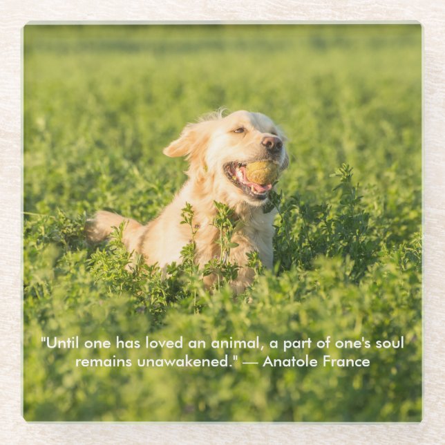 Golden Retriever with Quote Glass Coaster (Front)
