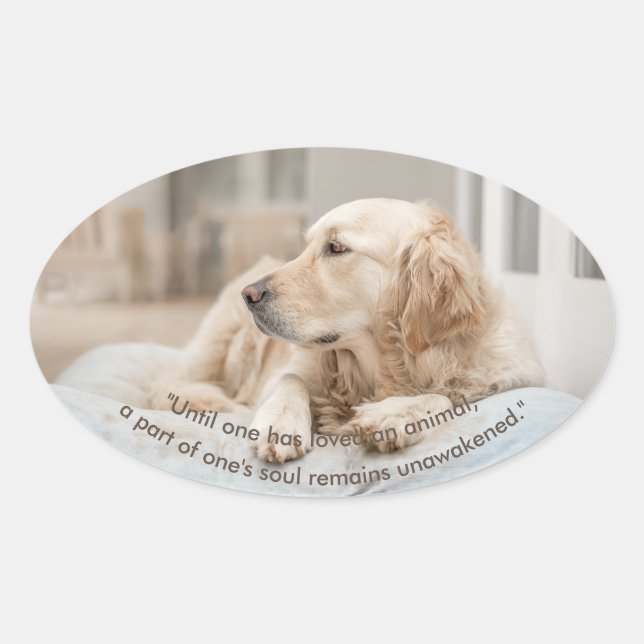 Golden Retriever with Quote Oval Sticker (Front)