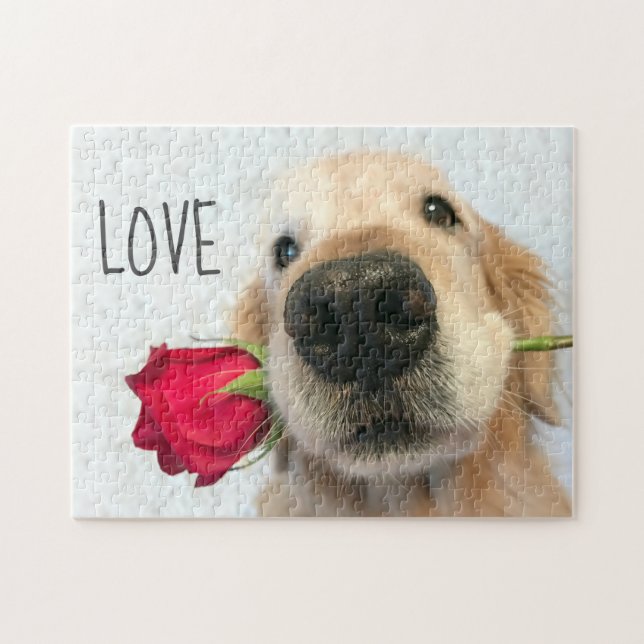 Golden Retriever With Red Rose Valentine Love Jigsaw Puzzle (Horizontal)