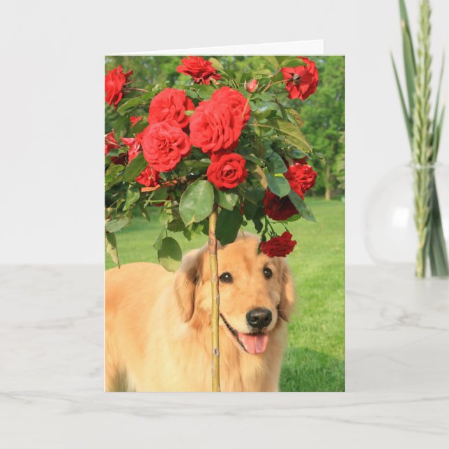 Golden Retriever With Roses Thinking of You Card (Front)
