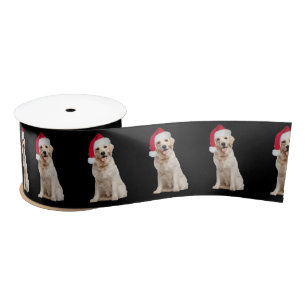 Golden Retriever with Santa Hat Satin Ribbon