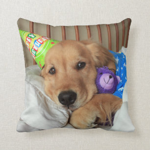 Golden Retriever With Teddy Bear Birthday Cushion