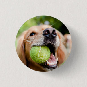 Golden Retriever With Tennis Ball 3 Cm Round Badge