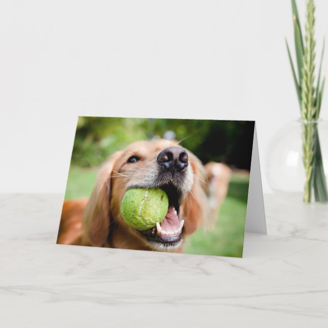 Golden Retriever With Tennis Ball Card (Front)