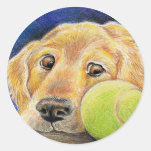Golden Retriever with Tennis Ball Classic Round Sticker