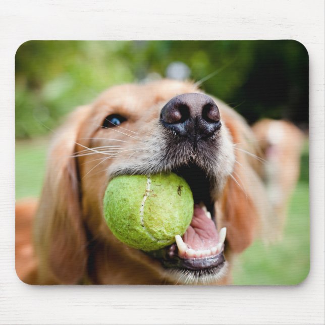 Golden Retriever With Tennis Ball Mouse Pad (Front)