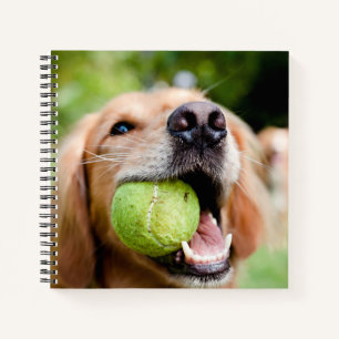 Golden Retriever With Tennis Ball Notebook