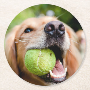 Golden Retriever With Tennis Ball Round Paper Coaster