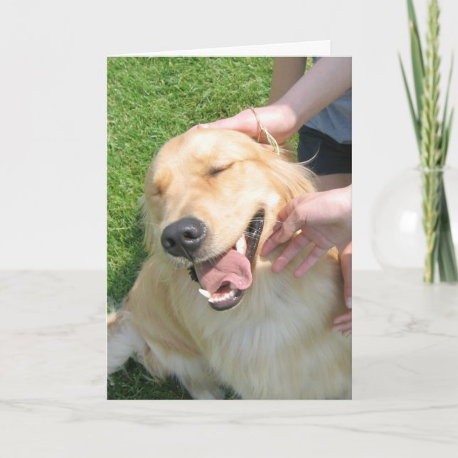 Golden Retriever You Did It Congrats Encouragement Card (Front)