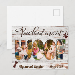 Golden Retriever You Had Me At Woof Gift for Dogs Postcard