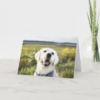 Golden Retriever "You make me smile" Greeting Card