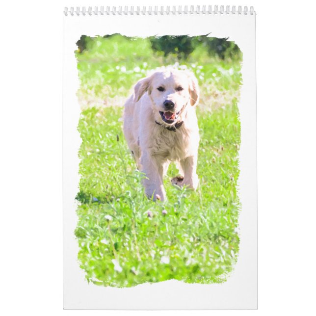 Golden retrievers calendar (Cover)