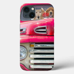 Golden Retrievers in Red Truck iPhone 13 Case