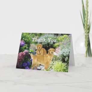 Golden Retrievers Thank You Buddies Card