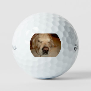 golden retriver sleeping golf balls