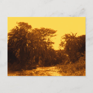 Golden River Gallery Forest Vintage Tropical Lands Postcard