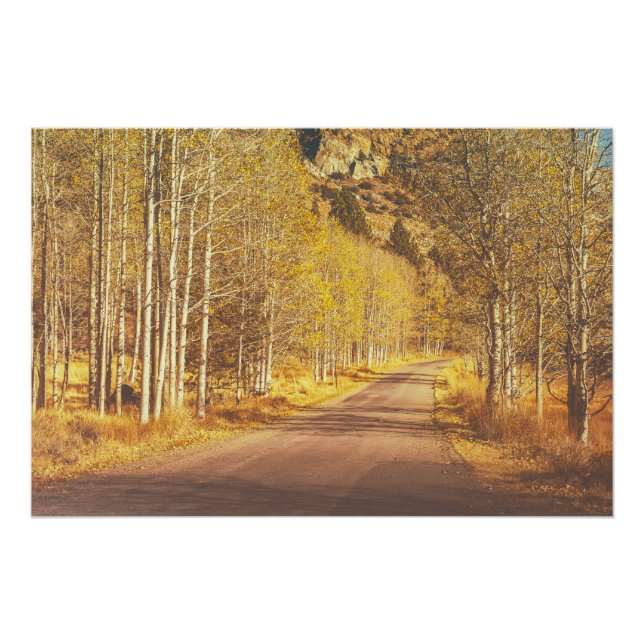 Golden Road Poster (Front)