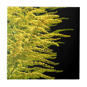 Golden rod gold diamond ceramic tile