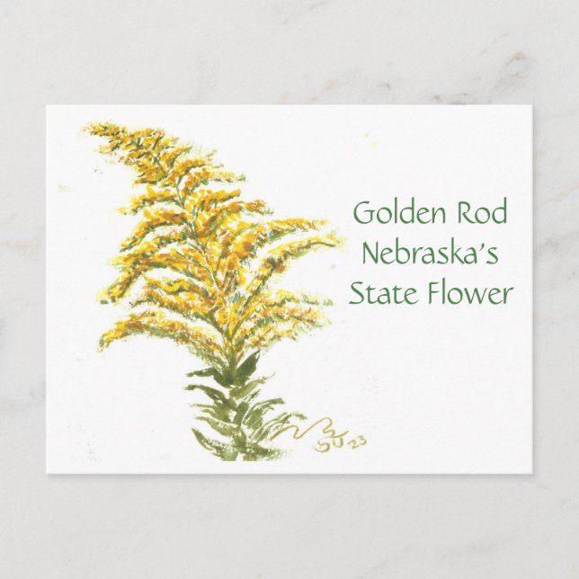 Golden Rod, Post Card (Front)