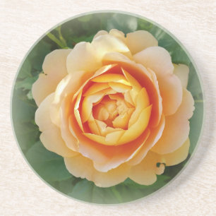 Golden rose coaster
