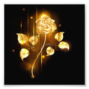 Golden rose ( gold rose ) photo print