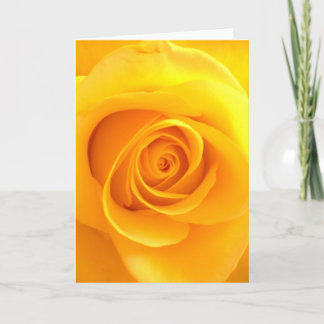 Golden Rose Greeting Card