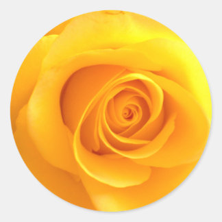 Golden Rose Stickers