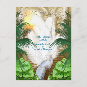 Golden Royal Peacock Temple Dreams Announcement Postcard