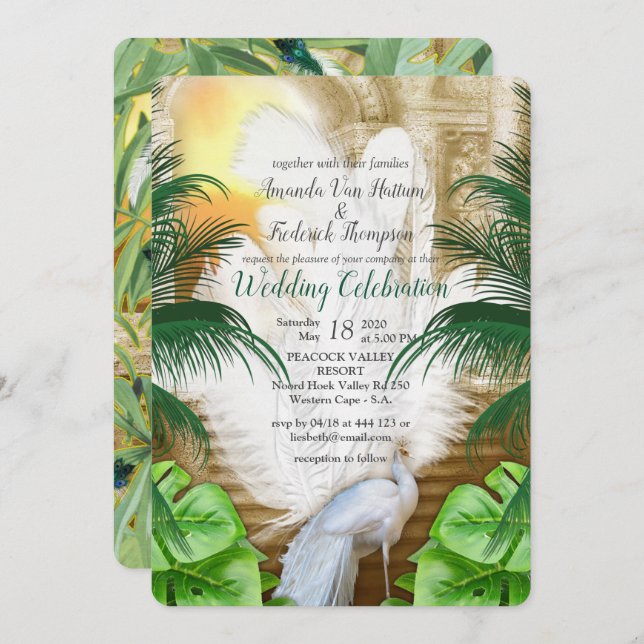 Golden Royal White Peacock Feathers Invitation (Front/Back)