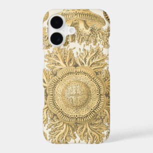 Golden Sea Creatures