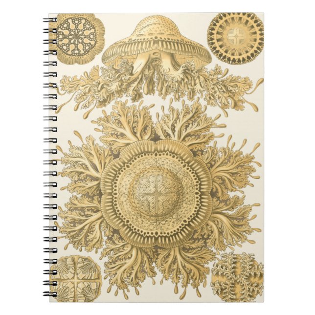 Golden Sea Creatures Notebook (Front)