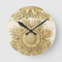 Golden Sea Creatures