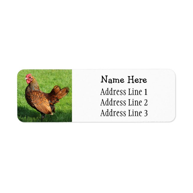 Golden Sebright Rooster Pet Chicken Return Address Label (Front)